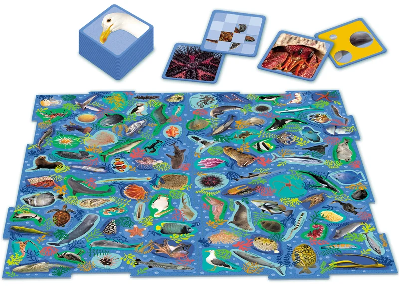 Mission Animaux Océans