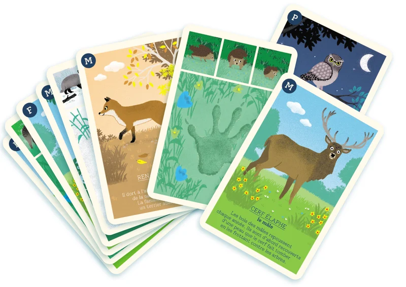 Les familles de la forêt