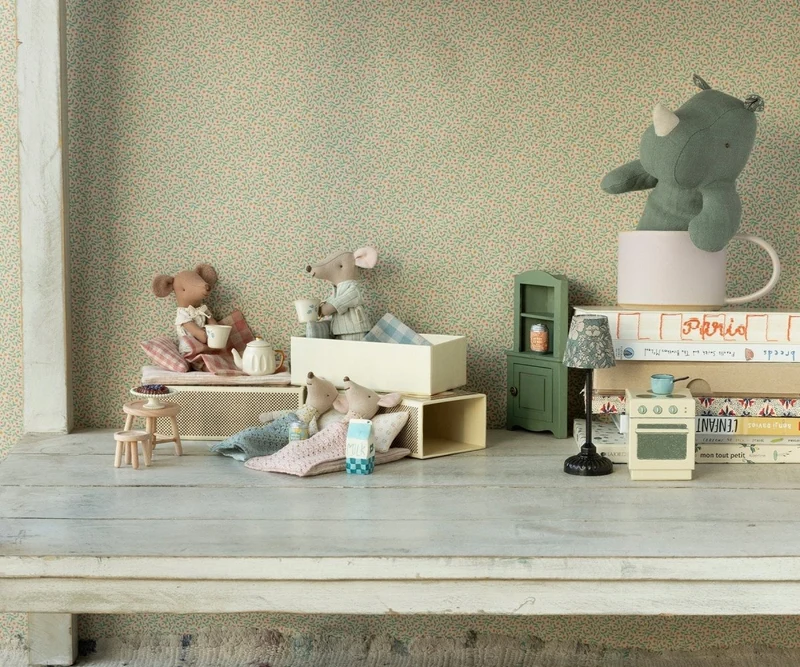 Souris Grand Frère Dans Sa Boîte Assortie