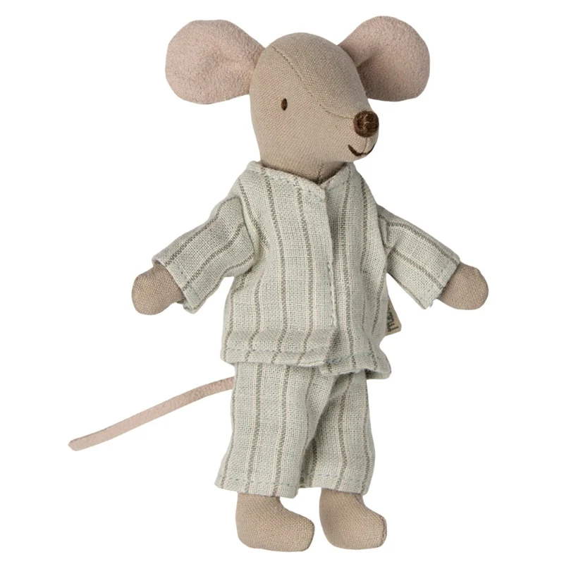 Souris Grand Frère Dans Sa Boîte Assortie