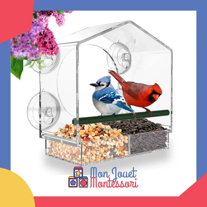 Mangeoire à oiseaux transparente pour fenêtre