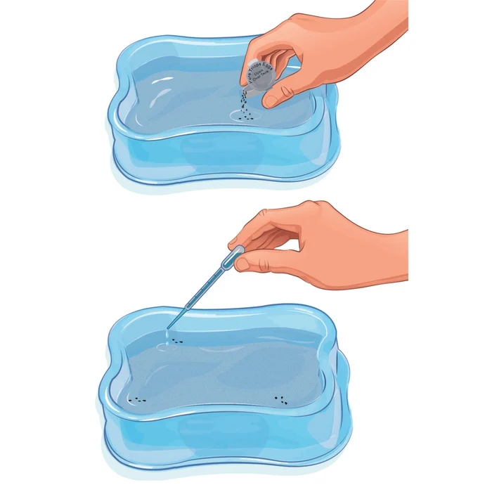 Élève tes triops