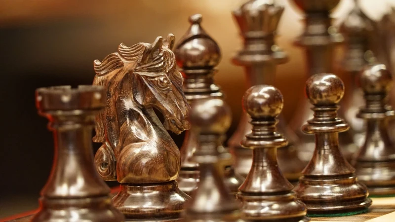Pièces d'échecs Shera en Palissandre - Taille 6/7 - Chopra