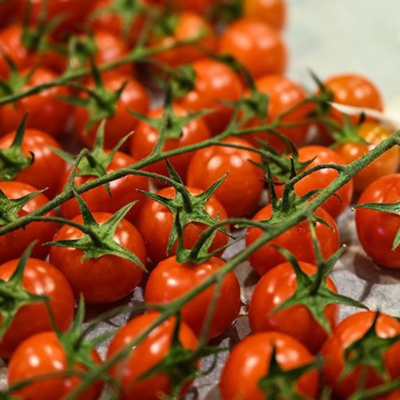 Cours de cuisine gastronomique à Paris
