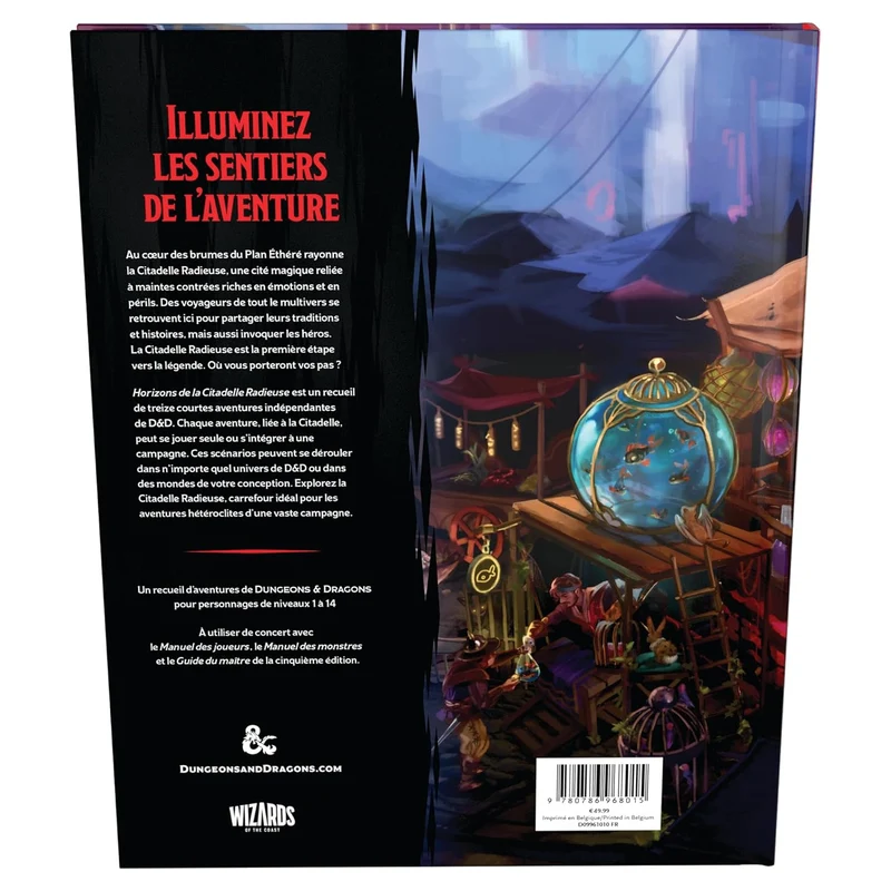 DUNGEONS & DRAGONS – Journeys Through the Radiant Citadel