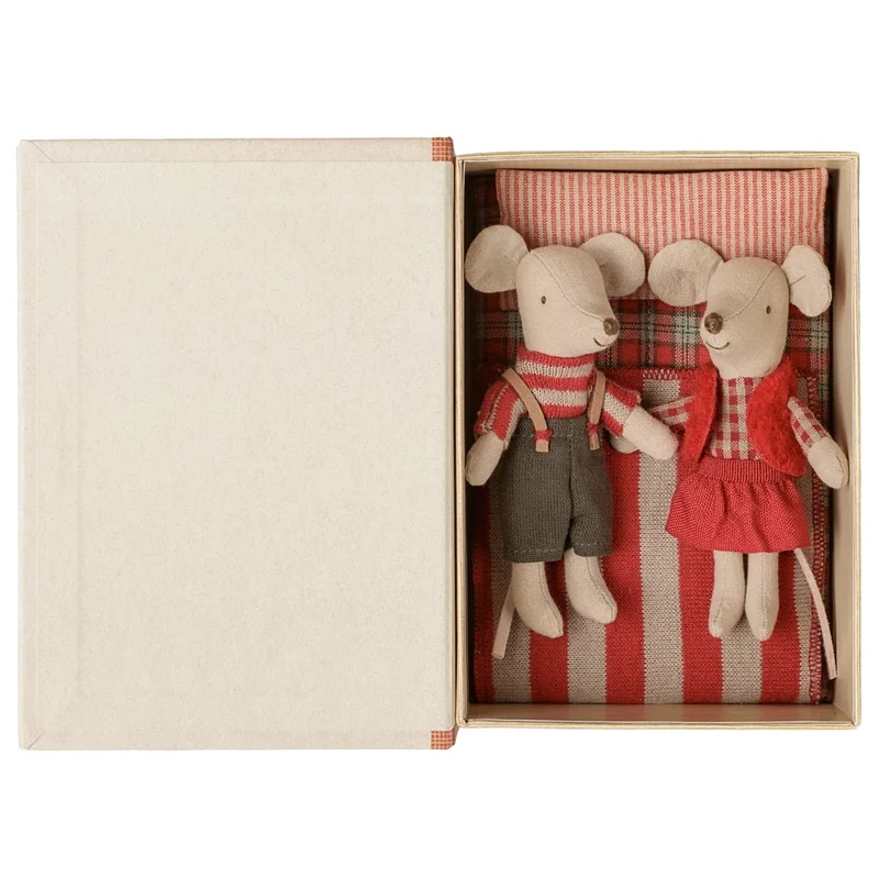 Jumeaux Souris De Noël, Petite Sœur Et Petit Frère Dans Leur Coffret Livre