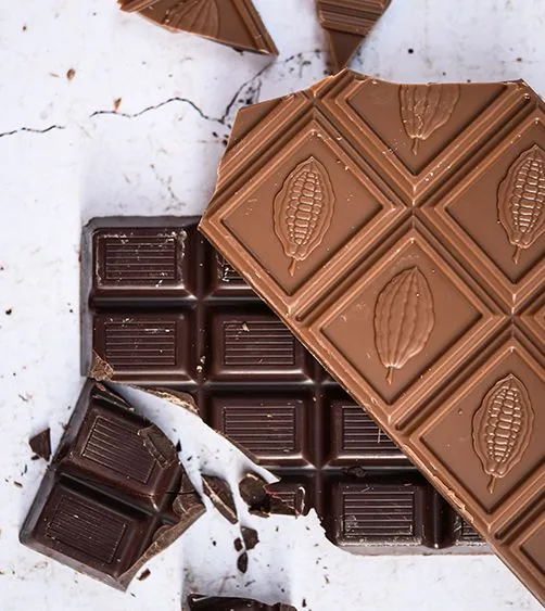Théorie et dégustation autour du chocolat : arômes et saveurs des chocolats de crus - Paris