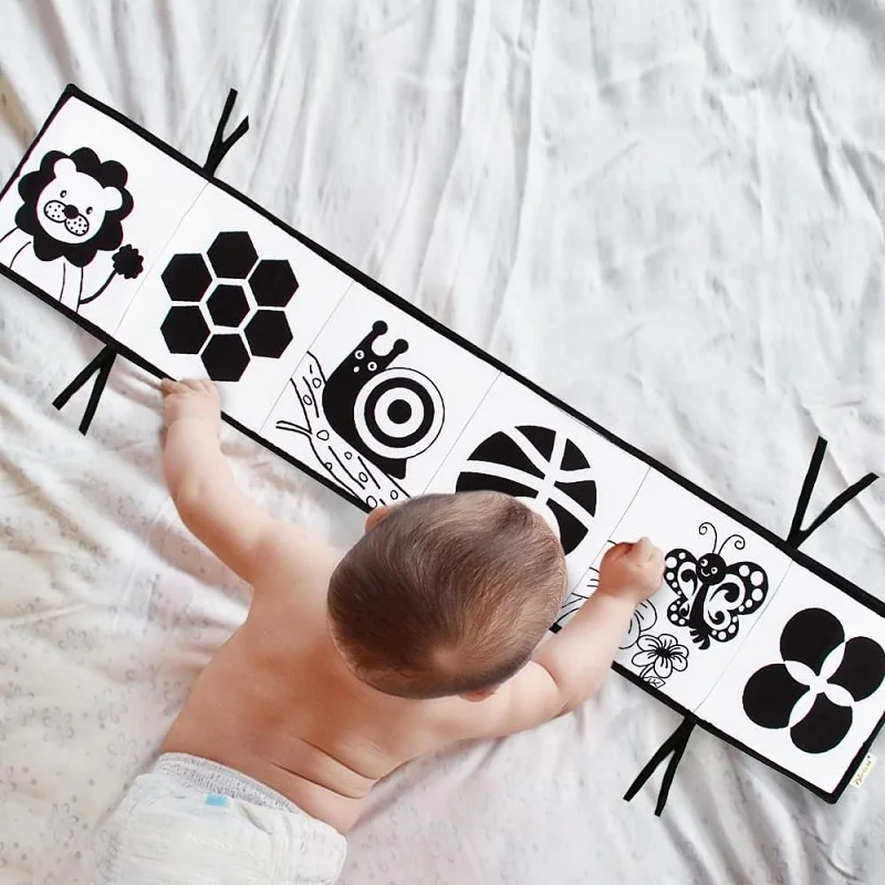 livre pour enfant-Alice™