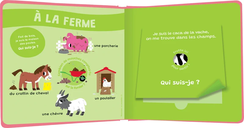 Mon livre des odeurs et des couleurs | Le livre des odeurs qui puent