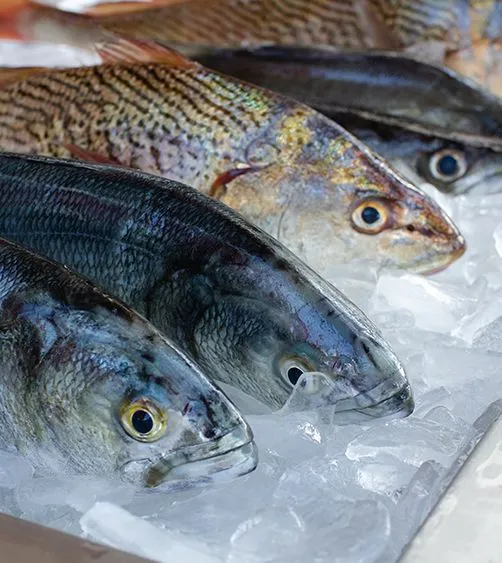 Cours de cuisine française : 3 poissons, 3 cuissons - Lille