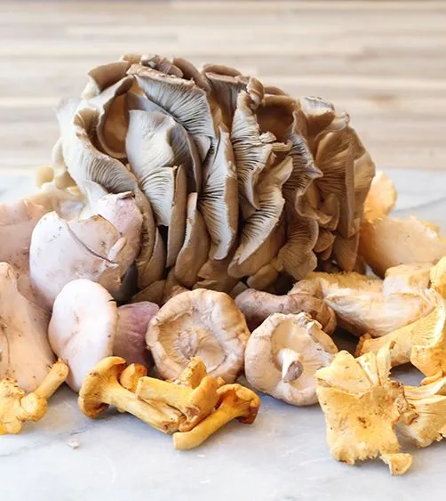Cours de cuisine autour des champignons - Paris