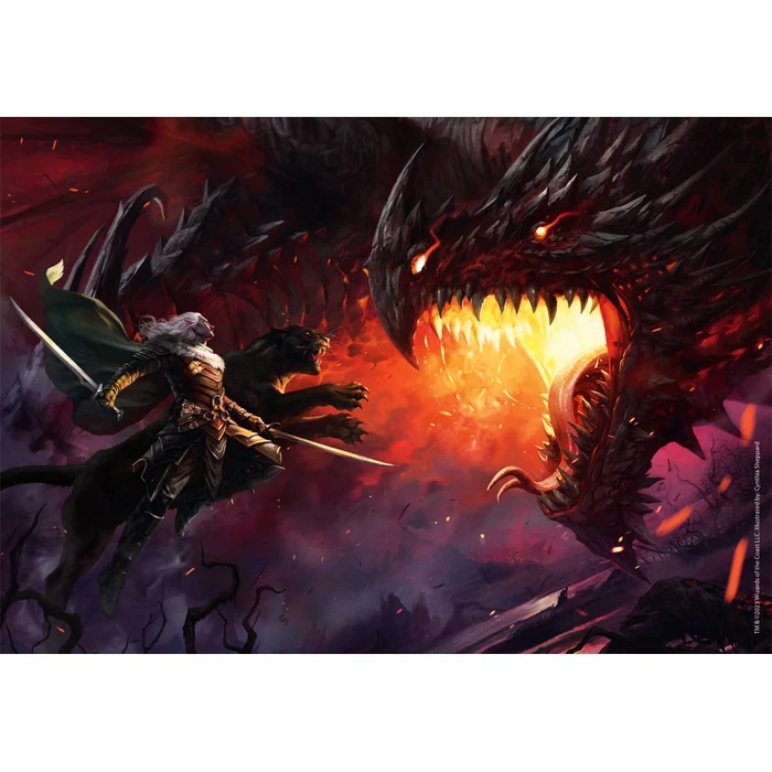 Dungeons&Dragons - 1000 pièces
