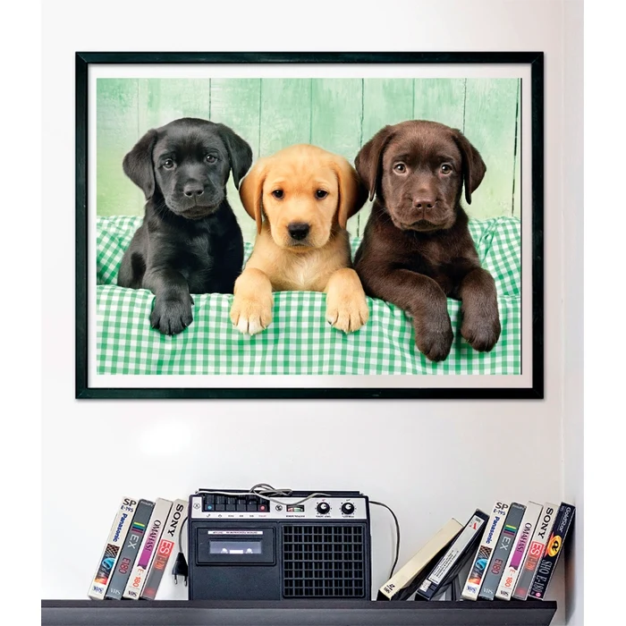 Three Labs - 1000 pièces