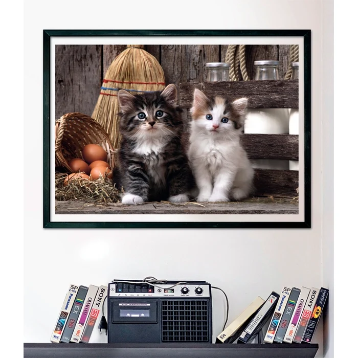 Lovely Kittens - 1000 pièces