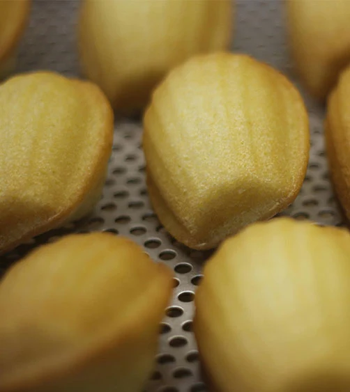 Cours de pâtisserie : Les madeleines - Lyon