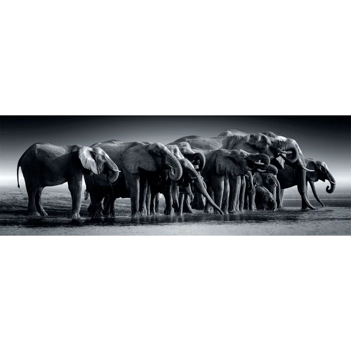 Herd Of Giants - 1000 pièces
