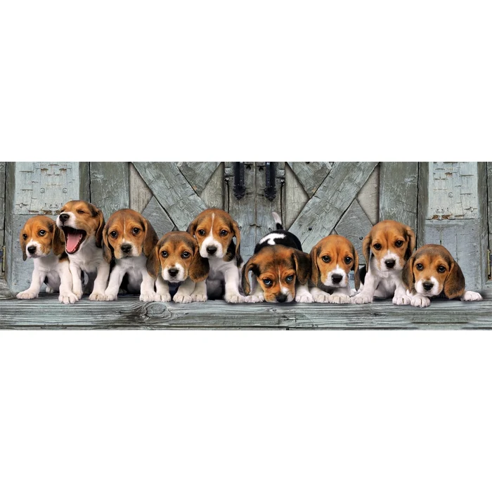 Beagles - 1000 pièces