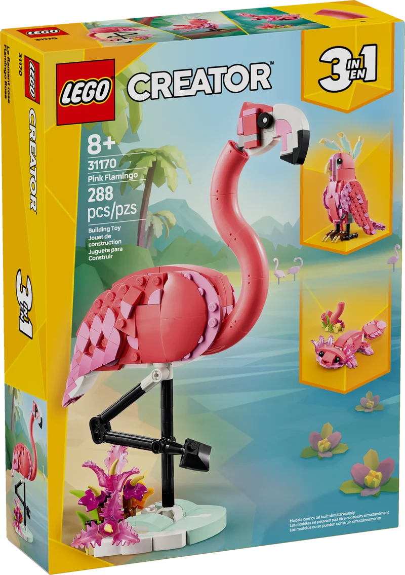 Les animaux sauvages : Le flamant rose