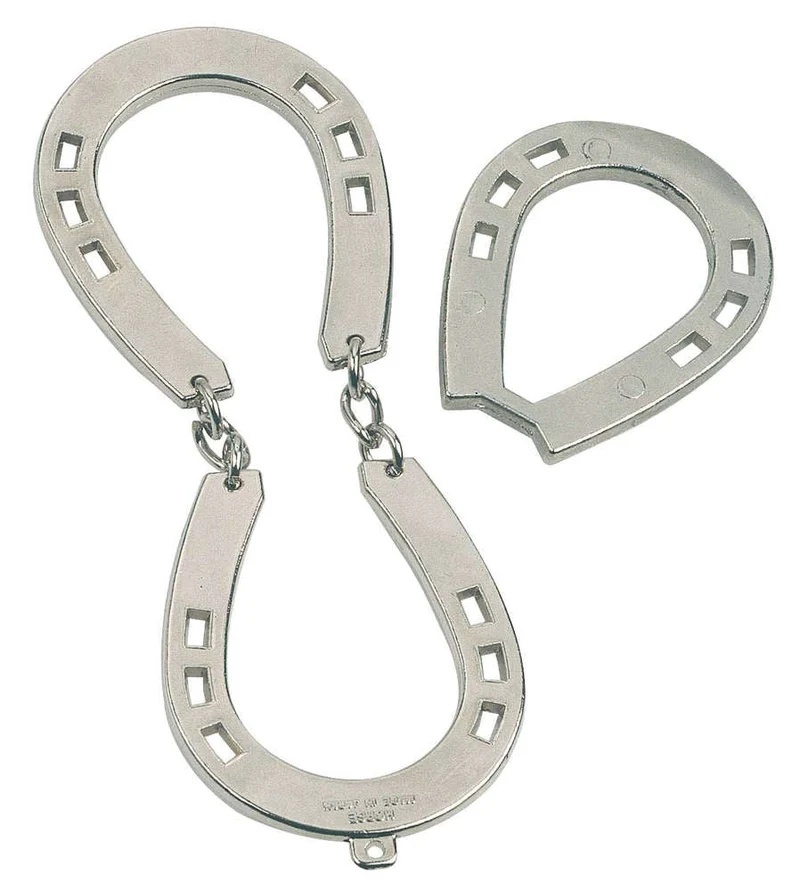 Casse-tête métal Hanayama - Huzzle - horse