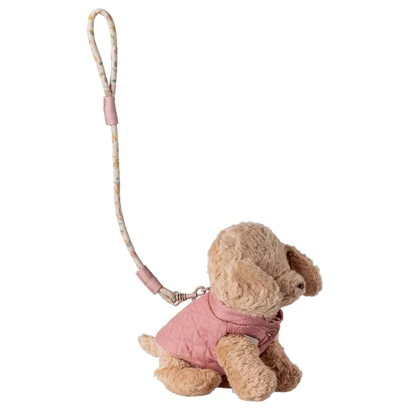 Accessoires Pour Animaux, Harnais et Laisses - Rose