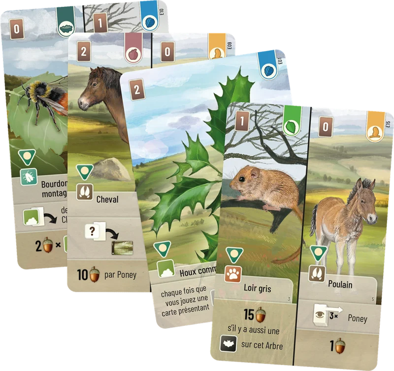 Forêt Mixte - Dartmoor - Extension Exmoor