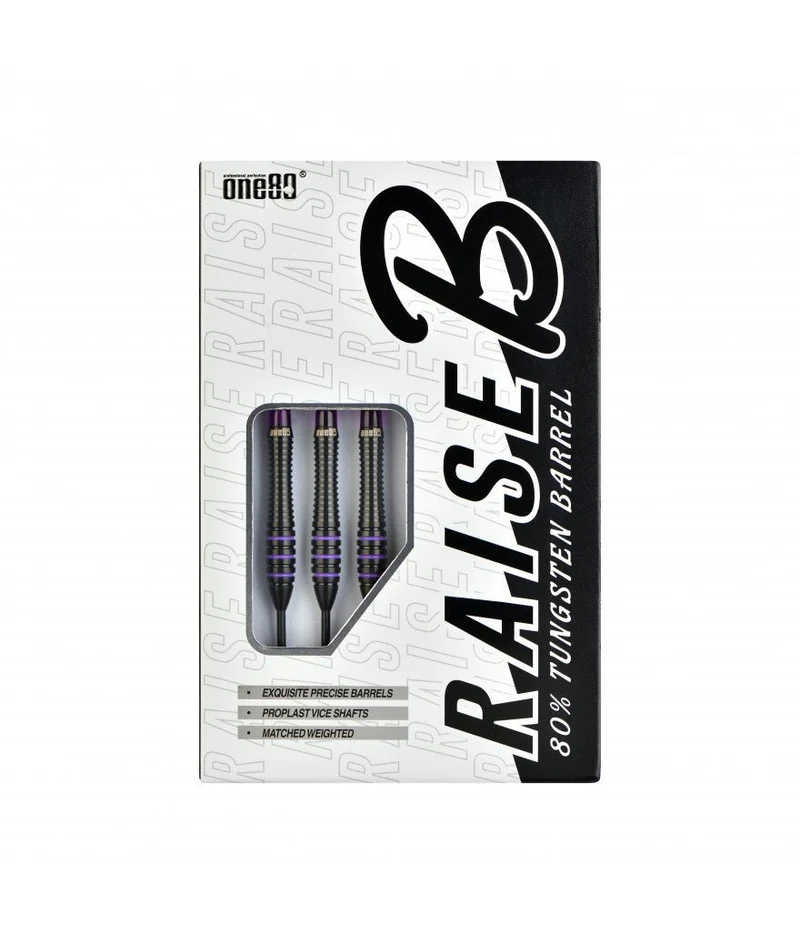 Fléchettes 80% Nickel Tungstène - Raise B - Violet