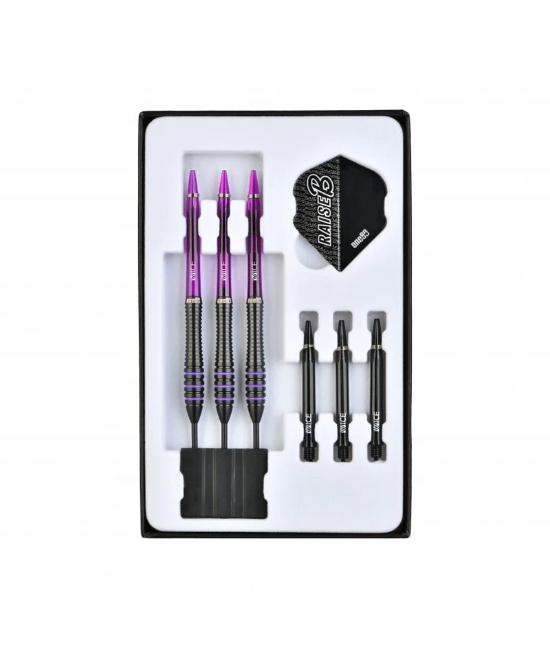 Fléchettes 80% Nickel Tungstène - Raise B - Violet