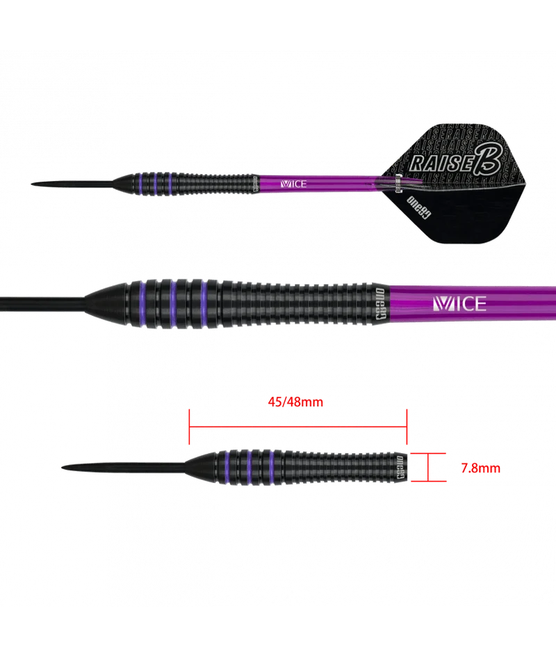Fléchettes 80% Nickel Tungstène - Raise B - Violet