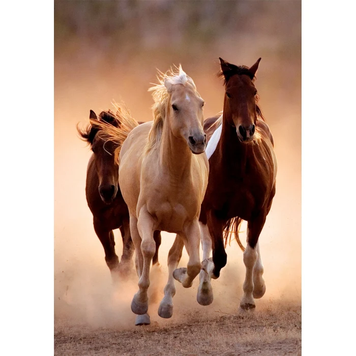 Running Horses - 1000 pièces