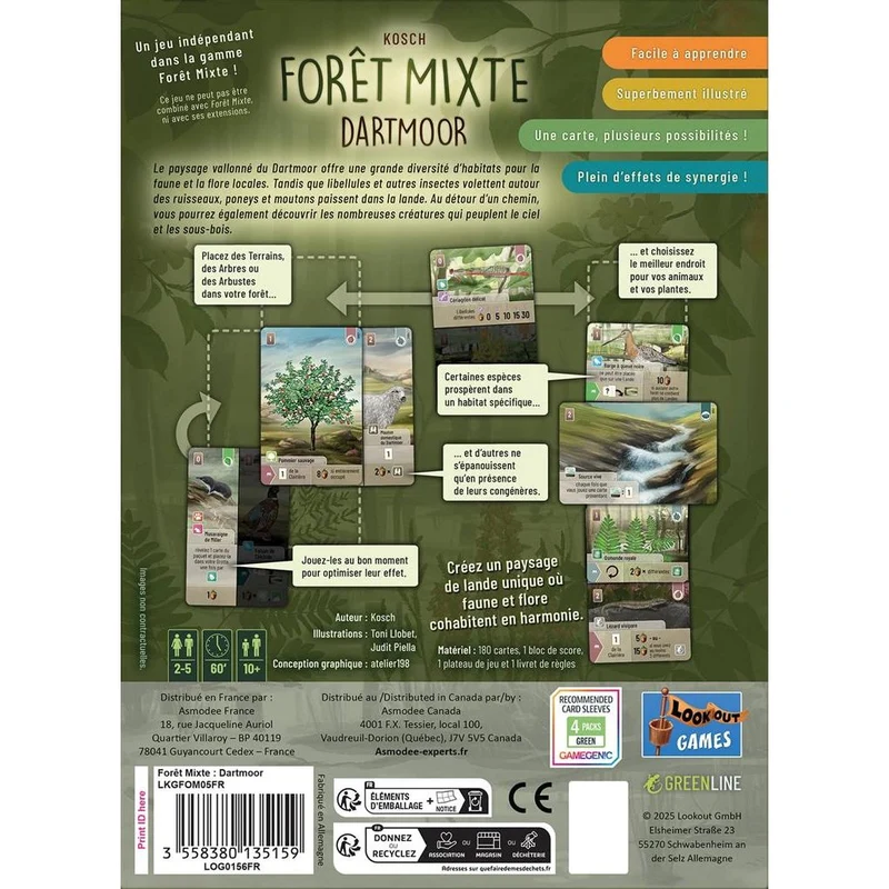 Forêt Mixte : Dartmoor