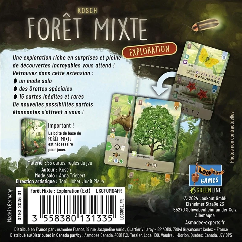 Foret Mixte Exploration