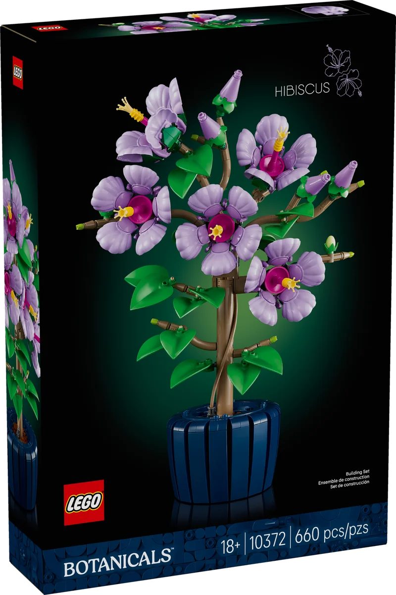 L’hibiscus
