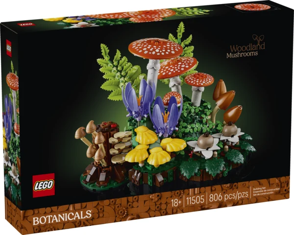 Les champignons des bois