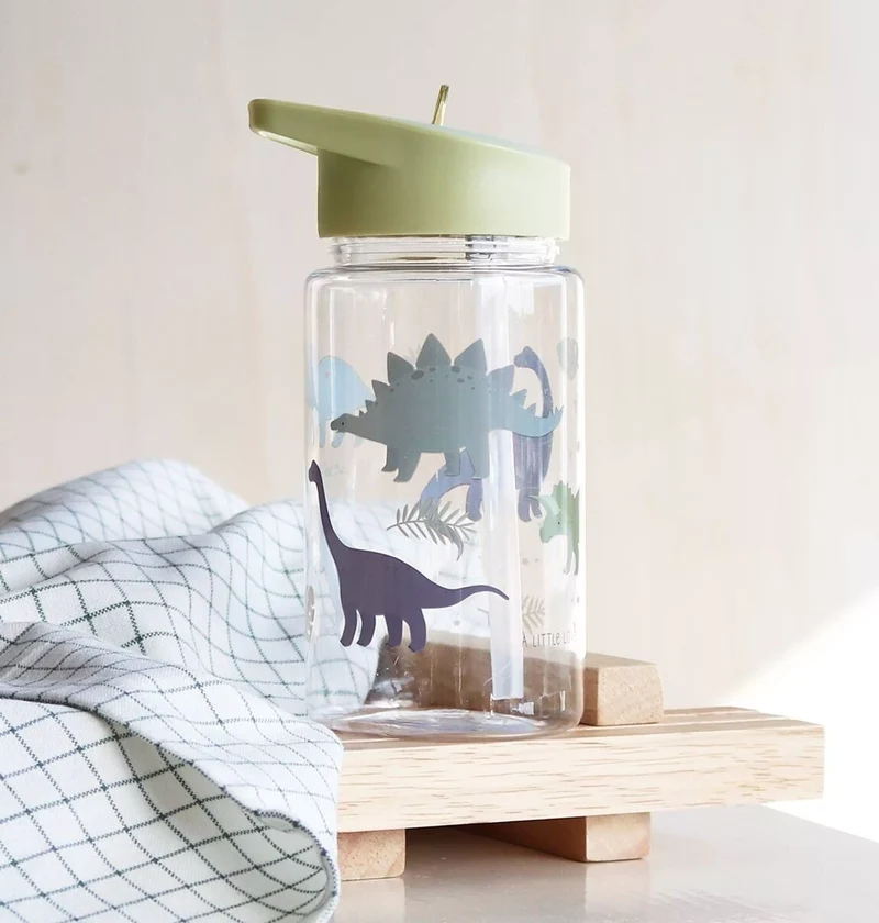 Gourde dinosaures