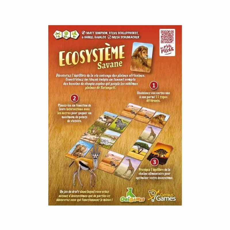 Ecosystème – Savane