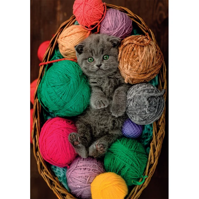 FLUFFY KITTENS - 500 pièces