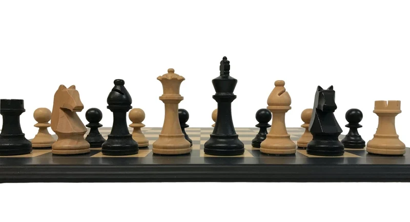 Pièces d'échecs noires + boîte de rangement