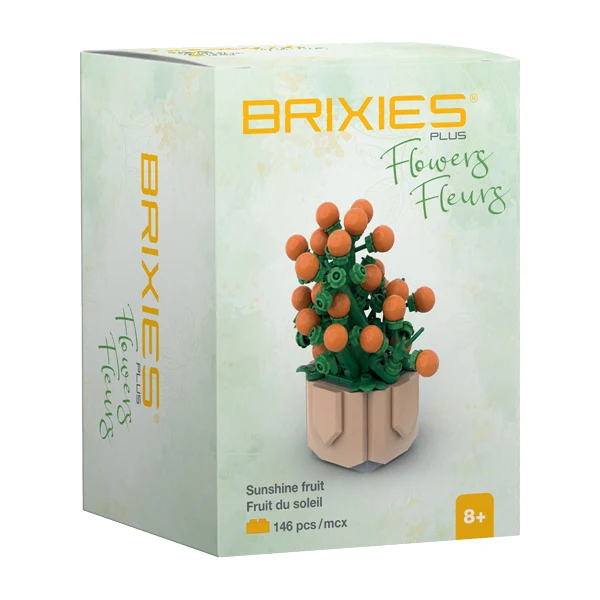 Brixies Mini Fruit du soleil