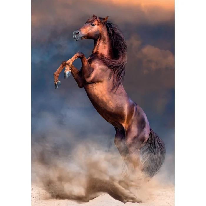 Wild Red Stallion - 500 pièces