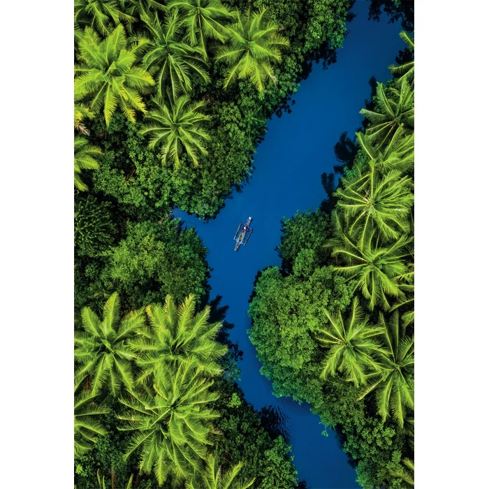 Tropical Aerial View - 500 pièces