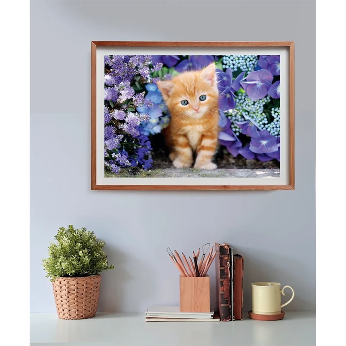 Ginger Cat - 500 pièces