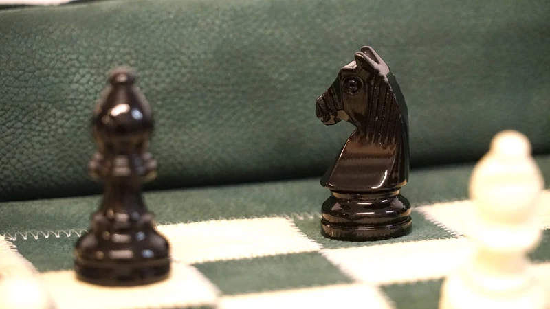 Ensemble jeu d'échecs en cuir - magnétique - Vert - mélia games