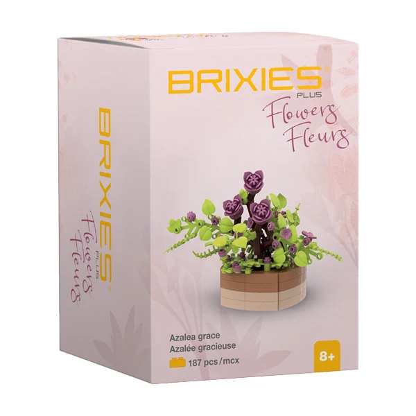Brixies Mini Azalea gracieuse