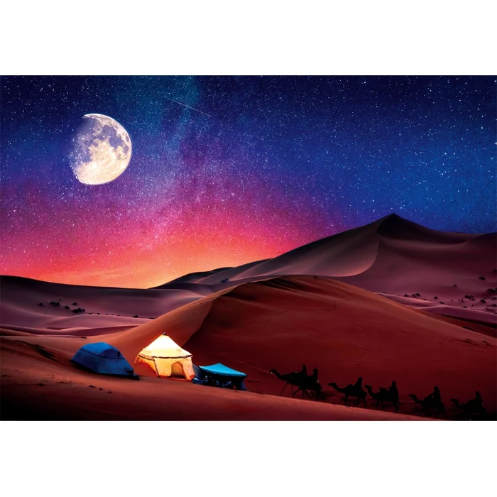 Starry Night Dream - 500 pièces