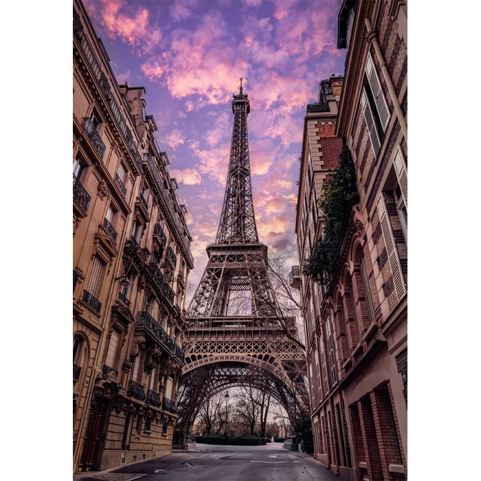 PARIS AWAKENS - 1500 pièces