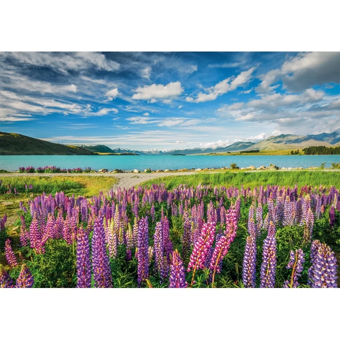 Lupins At Lake Tekapo - 1500 pièces