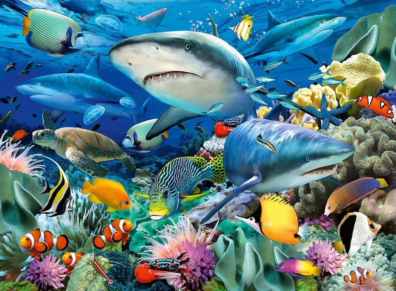 Récif de requins Casse-tête de 100 pièces