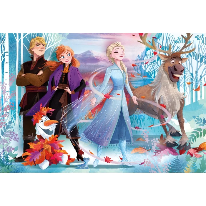 Disney Frozen 2 - 24 pièces