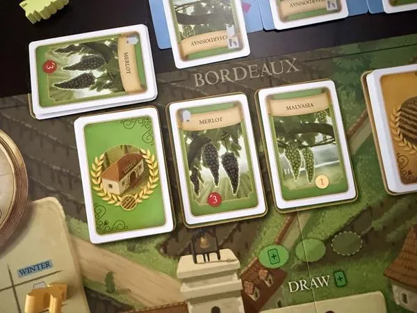 Viticulture - Ext. Bordeaux (FR)