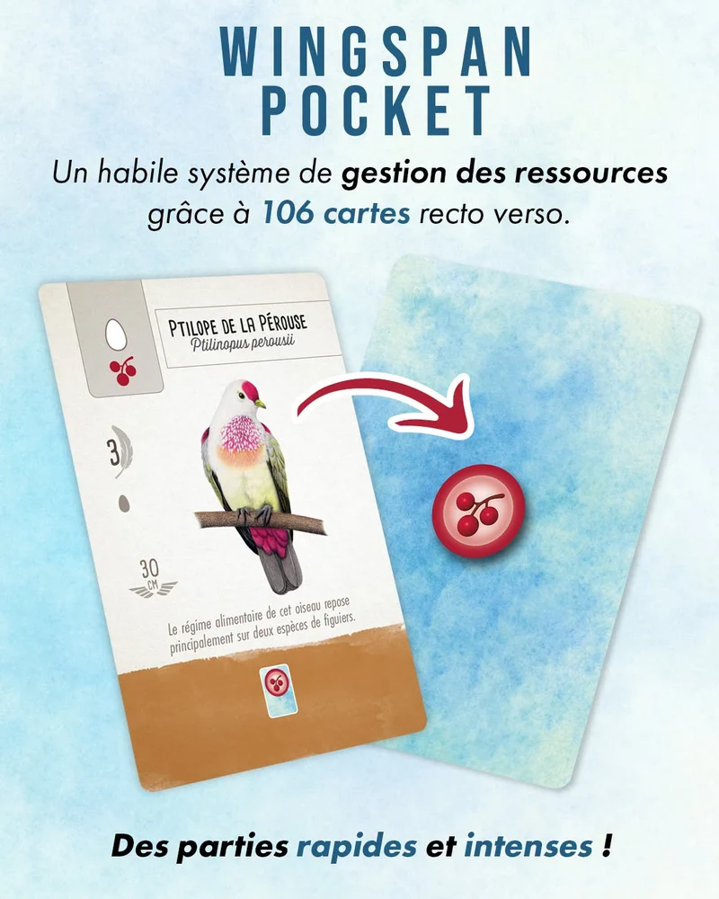 Wingspan Pocket (FR)